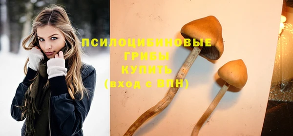 винт Россошь