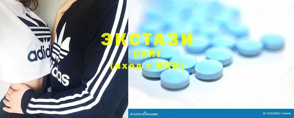 гашик Алексин